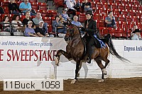 11buck_1058 proof