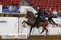 11buck_1059 proof