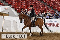 11buck_1061 proof
