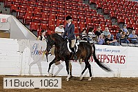 11buck_1062 proof