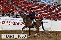 11buck_1063 proof