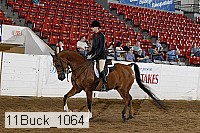 11buck_1064 proof