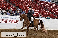 11buck_1065 proof