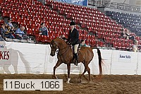 11buck_1066 proof