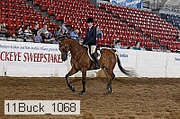 11buck_1068 proof