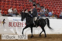11buck_1072 proof