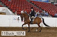 11buck_1074 proof