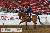 11buck_1075 proof