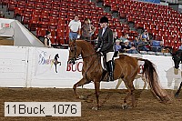 11buck_1076 proof
