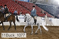 11buck_1077 proof