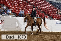 11buck_1078 proof