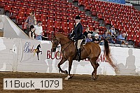11buck_1079 proof