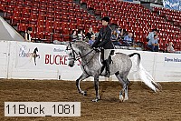 11buck_1081 proof