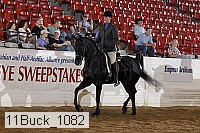11buck_1082 proof