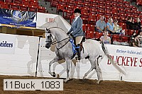 11buck_1083 proof