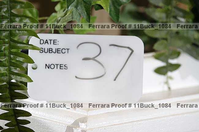Proof 11buck_1084