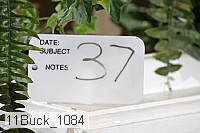 11buck_1084 proof