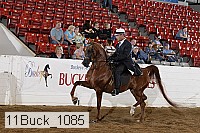 11buck_1085 proof