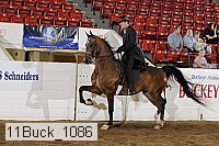 11buck_1086 proof