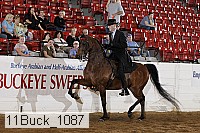 11buck_1087 proof