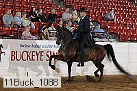 11buck_1088 proof