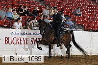 11buck_1089 proof