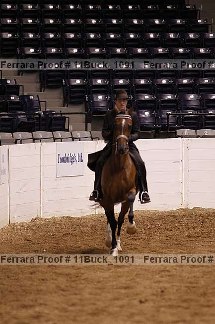 Proof 11buck_1091