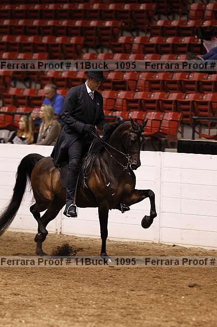 Proof 11buck_1095
