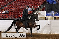 11buck_1096 proof