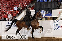 11buck_1098 proof