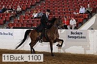 11buck_1100 proof