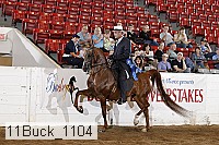 11buck_1104 proof