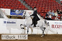 11buck_1115 proof