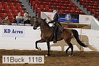11buck_1118 proof