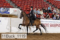 11buck_1119 proof
