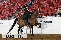 11buck_1121 proof