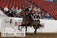 11buck_1128 proof