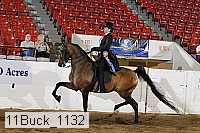 11buck_1132 proof