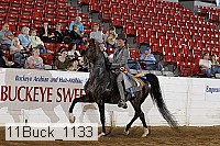 11buck_1133 proof