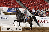 11buck_1134 proof