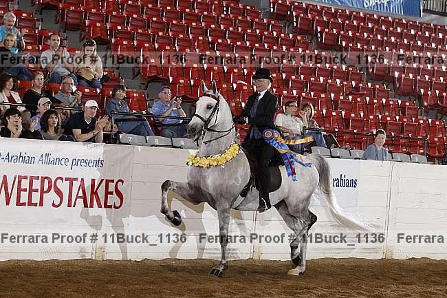 Proof 11buck_1136