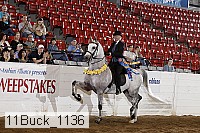 11buck_1136 proof
