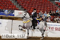 11buck_1137 proof