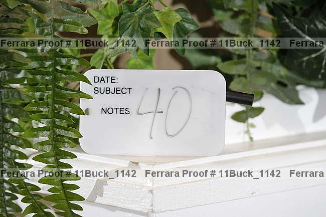 Proof 11buck_1142