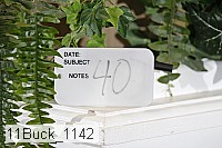 11buck_1142 proof