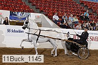 11buck_1145 proof