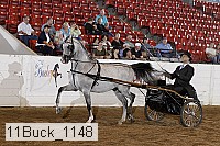 11buck_1148 proof
