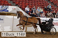 11buck_1149 proof