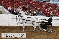11buck_1151 proof