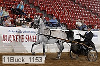 11buck_1153 proof